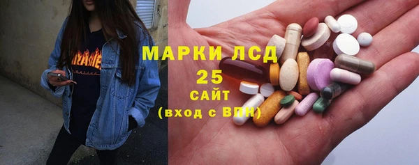 индика Абаза