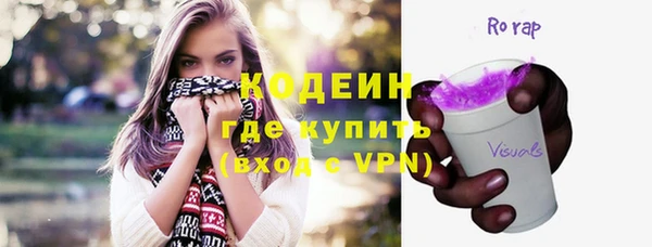 индика Абаза
