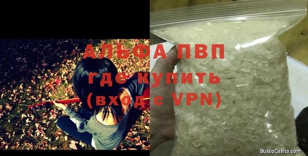 индика Абаза